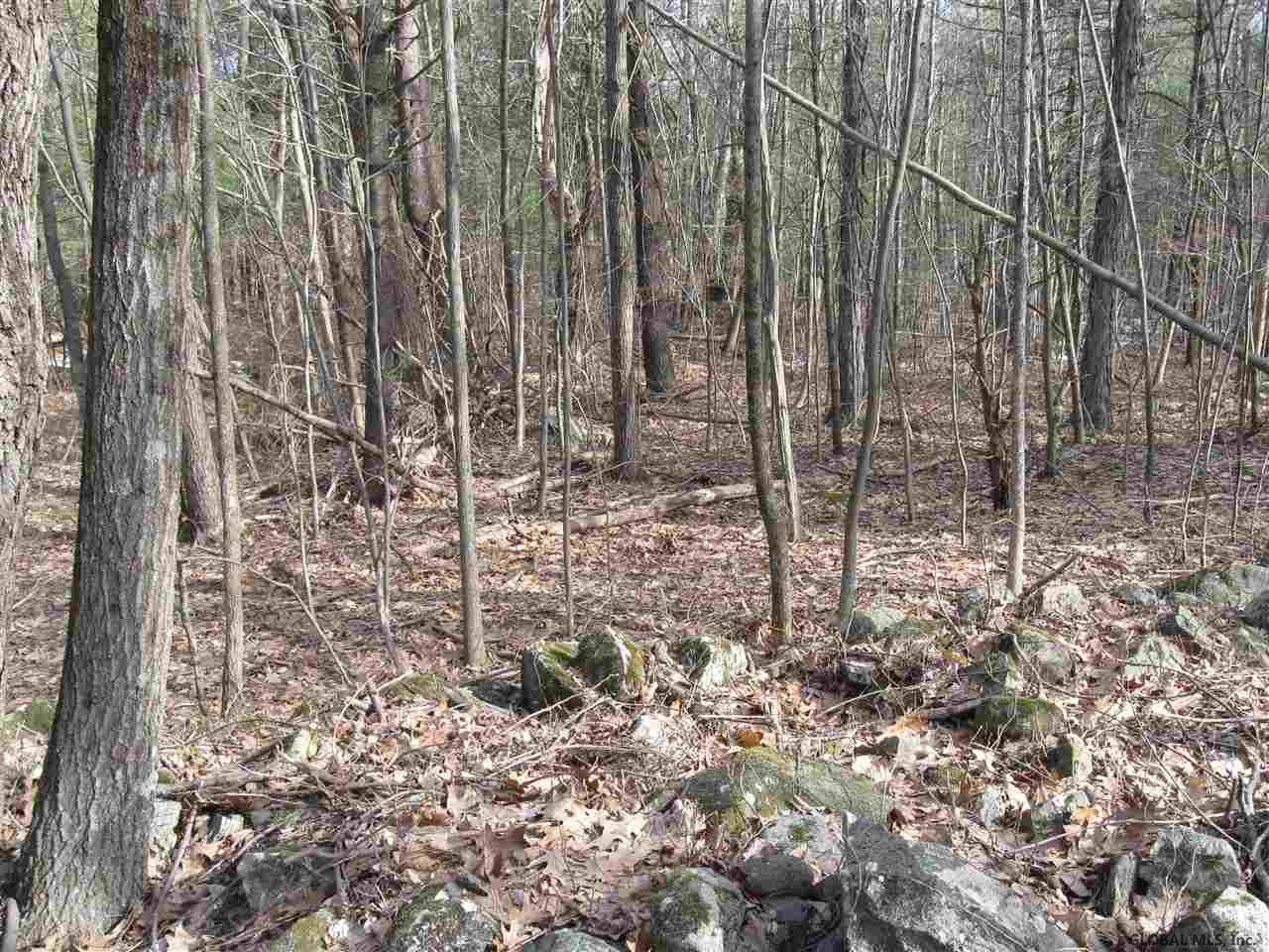 90 Wisner Road Sand Lake, NY 12153 - Photo 6 of 15 Photo 6