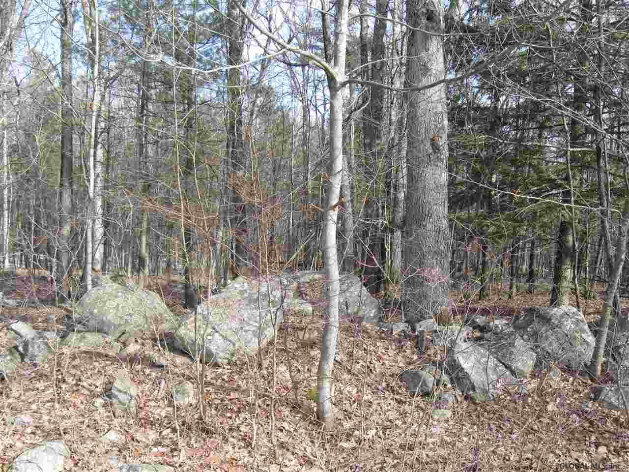 90 Wisner Road Sand Lake, NY 12153 - Photo 7 of 15 Photo 7