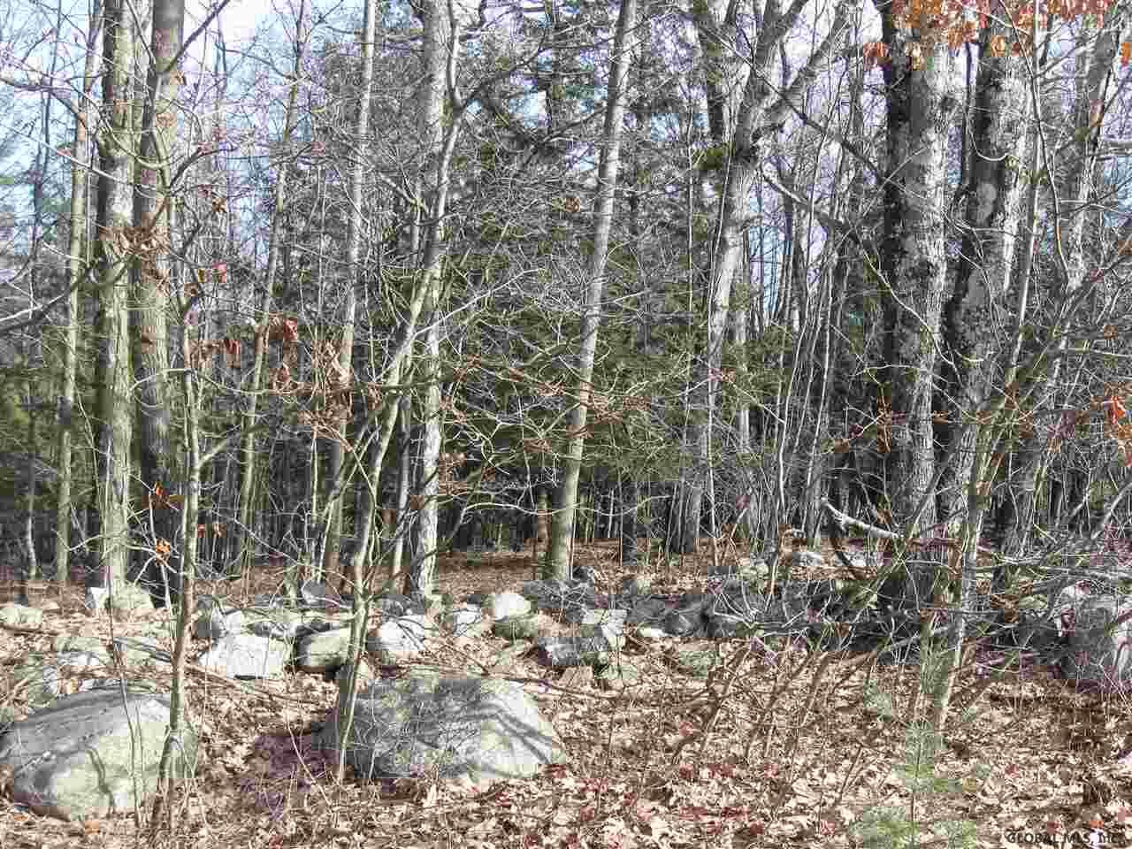 90 Wisner Road Sand Lake, NY 12153 - Photo 8 of 15 Photo 8