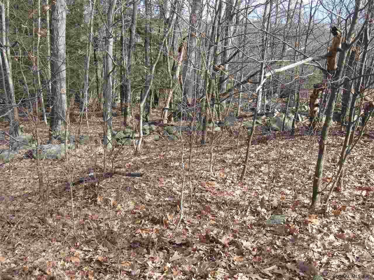 90 Wisner Road Sand Lake, NY 12153 - Photo 9 of 15 Photo 9