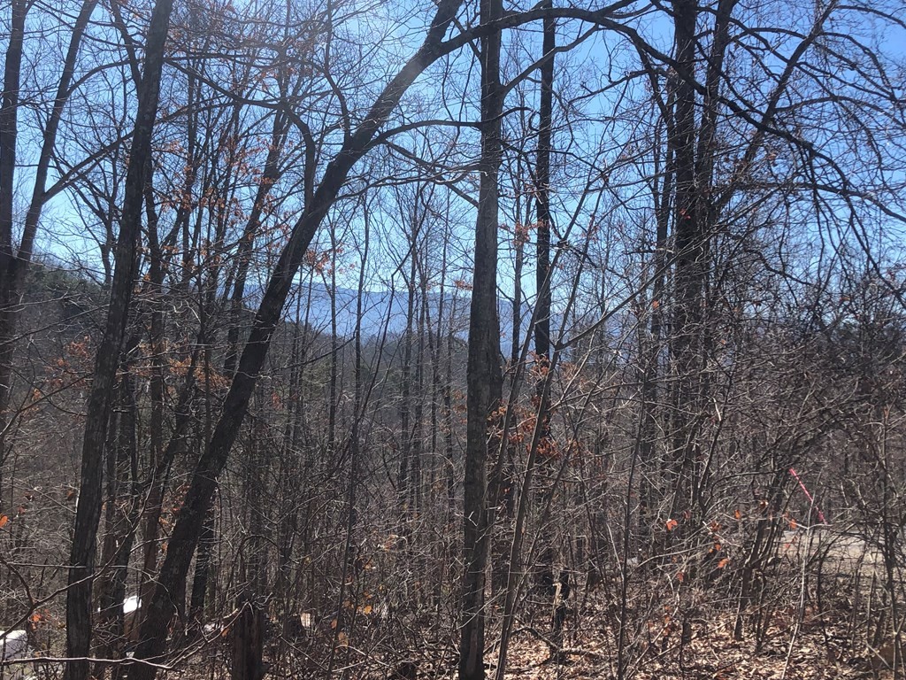 40 Hickory Tree Street Sevierville, TN 37876 - Photo 2 of 22