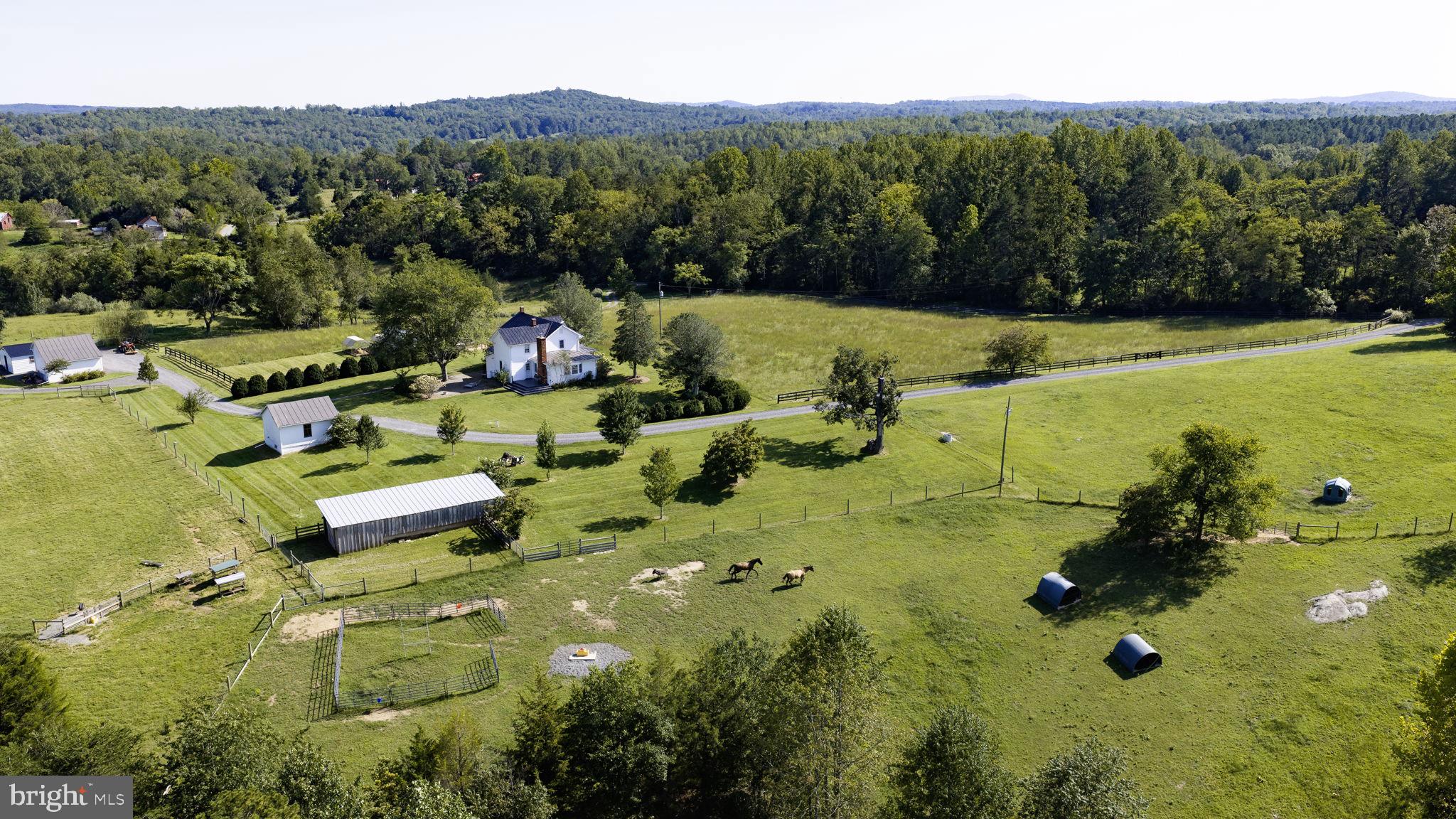 65 Dennis Road Castleton, VA 22716 - Photo 52 of 83 Fenced Fields