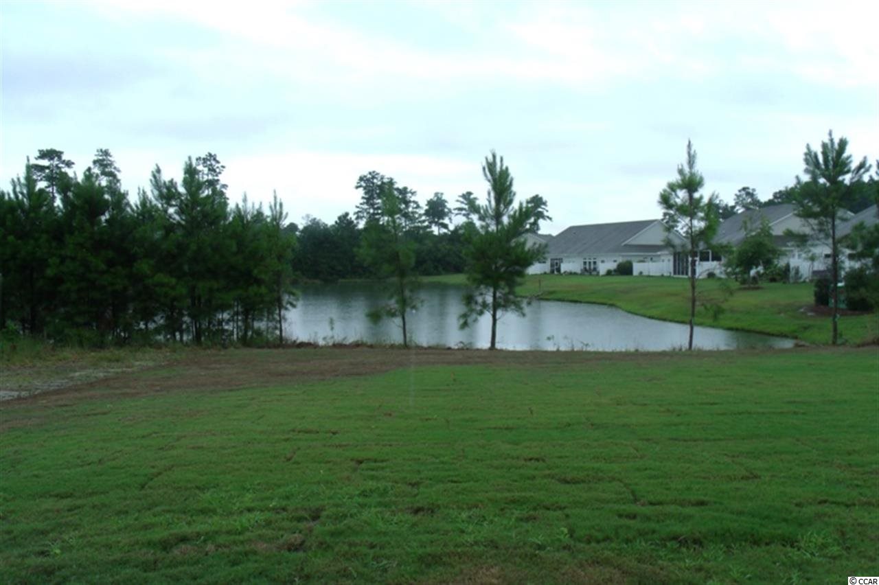 565 Botany Loop, Unit 130 Murrells Inlet, SC 29576 - Photo 14 of 18 Gallery Image 14
