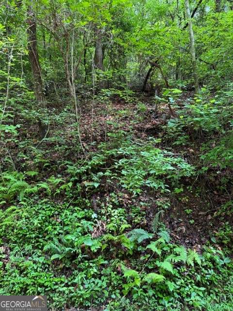 Lot 2 Kells Ridge Ellijay, GA 30540 - Photo 4 of 6