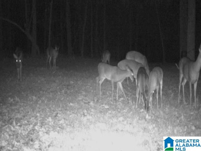 593 Lock 4 Road Riverside, AL 35135 - Photo 49 of 49