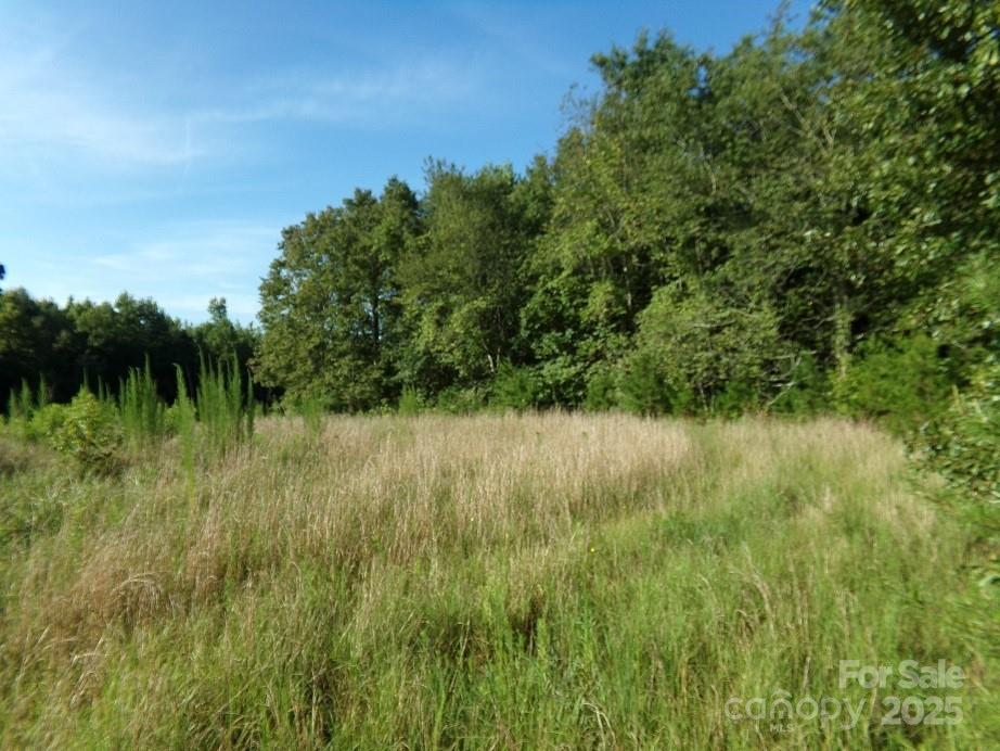 Lot 5 Painter Road Mooresboro, NC 28114 - Photo 3 of 3 a view of a lush green space near a lake