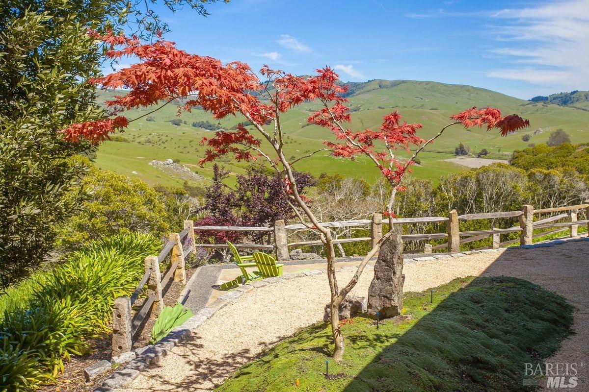 333-345 Willow Road Nicasio, CA 94946 - Photo 16 of 44 a view of a swimming pool with an outdoor seating