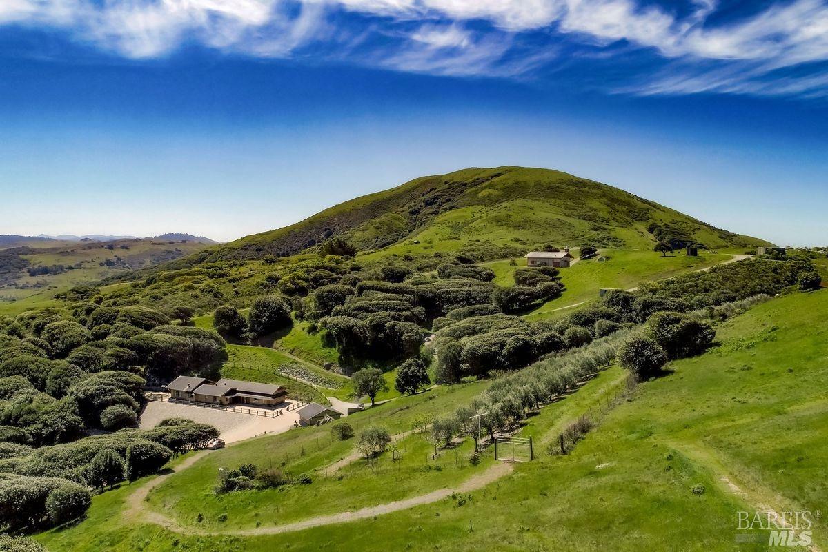 333-345 Willow Road Nicasio, CA 94946 - Photo 2 of 44 a view of tall trees