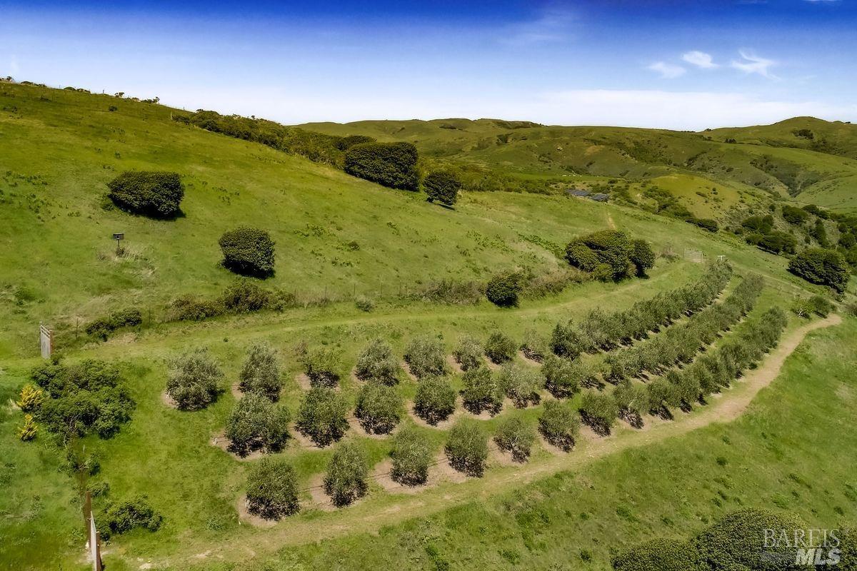 333-345 Willow Road Nicasio, CA 94946 - Photo 40 of 44 a view of a lush green hillside and a houses