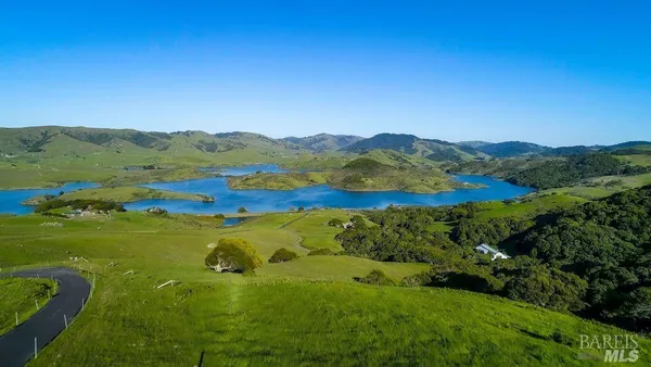 a view of a lush green hillside and houses