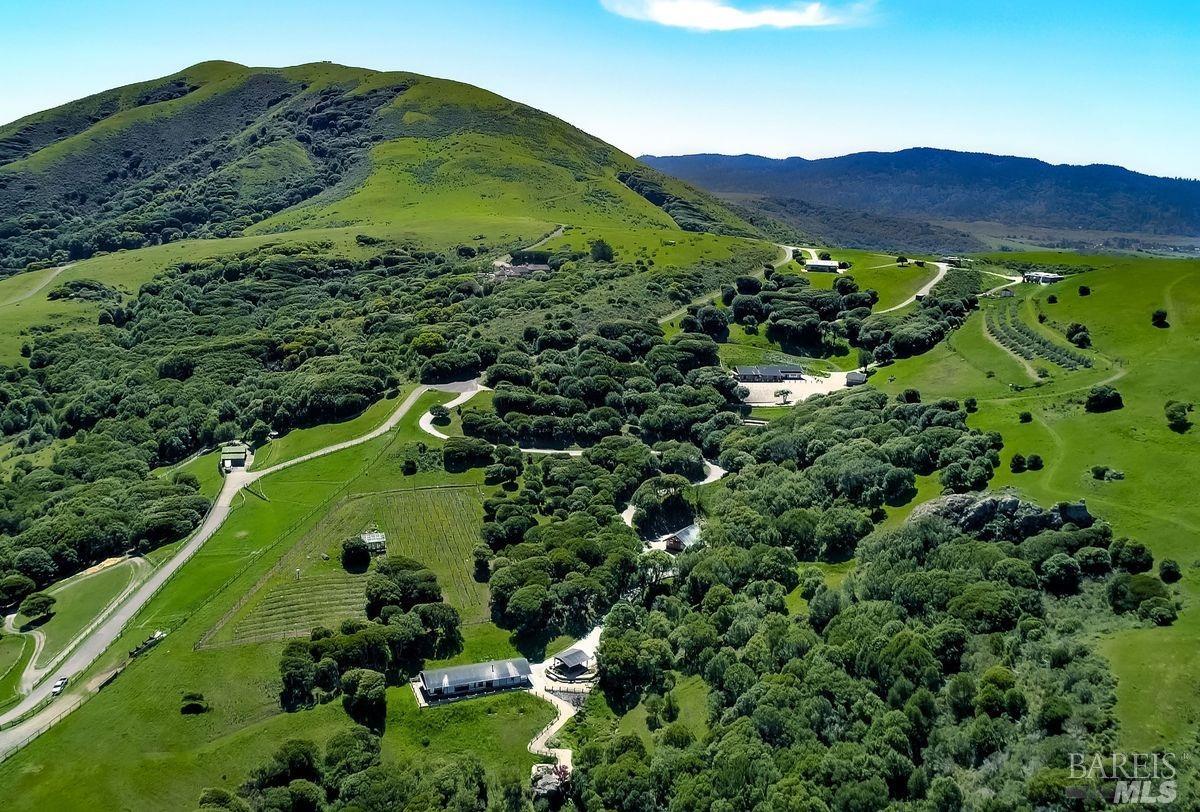 333-345 Willow Road Nicasio, CA 94946 - Photo 44 of 44 a view of a lush green hillside and a houses