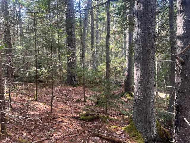 $179,900 | Map10-193 Main Street, Unit 4, Mount Desert, ME 04660