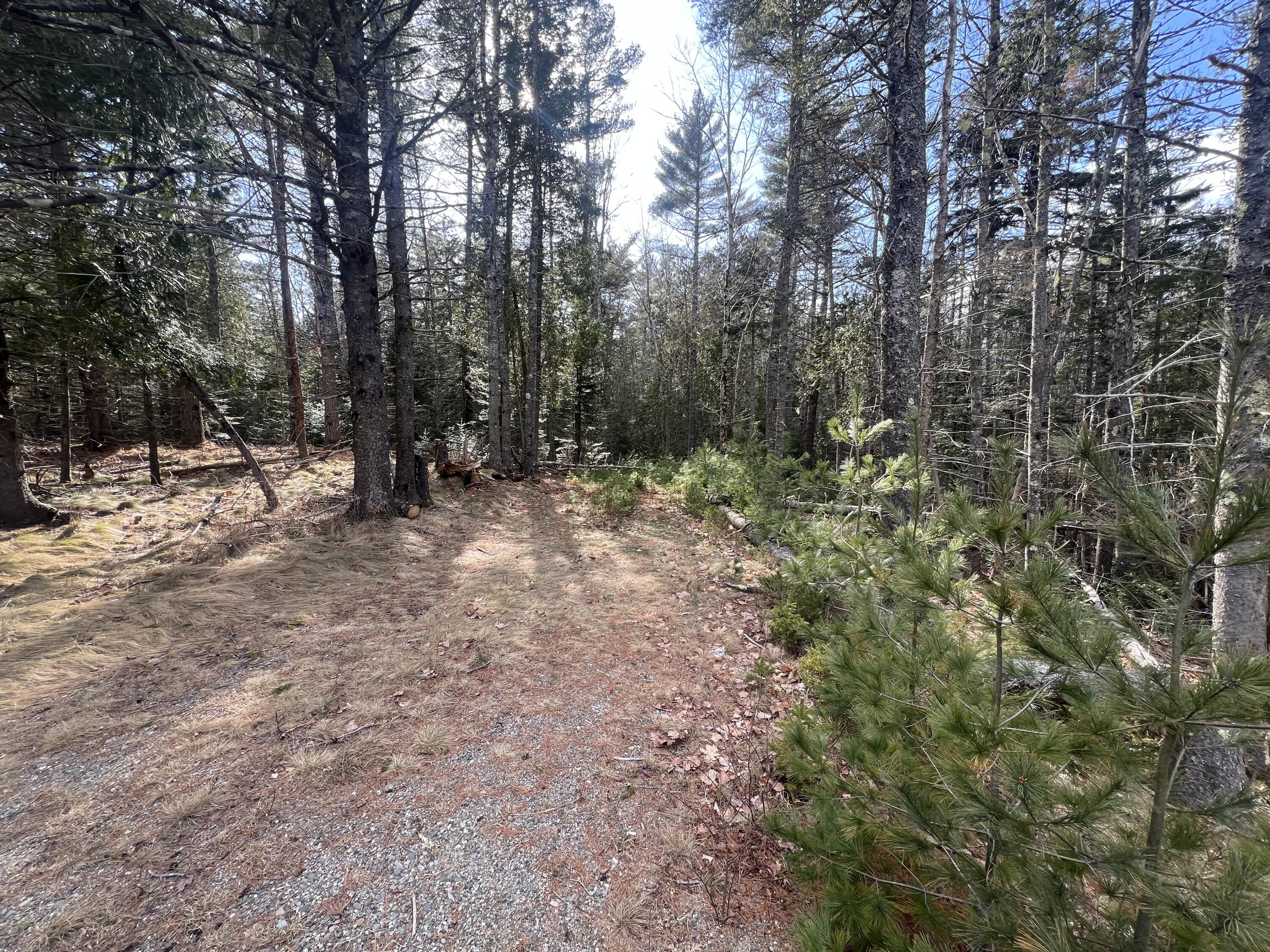 Map10-193 Main Street, Unit 4 Mount Desert, ME 04660 - Photo 4 of 9 IMG_5222 (1)