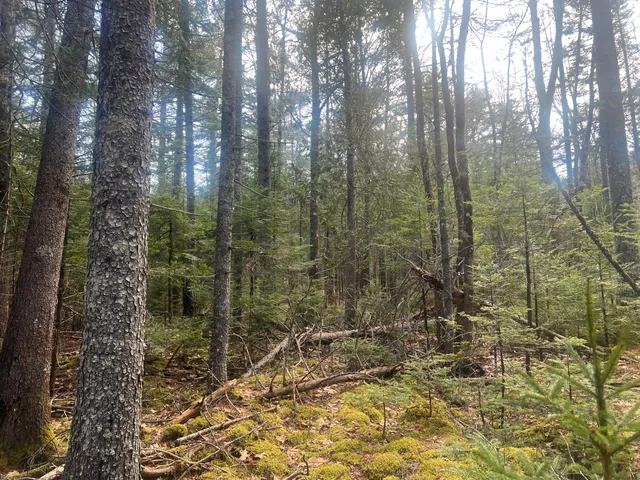 $179,900 | Map10-193 Main Street, Unit 4, Mount Desert, ME 04660