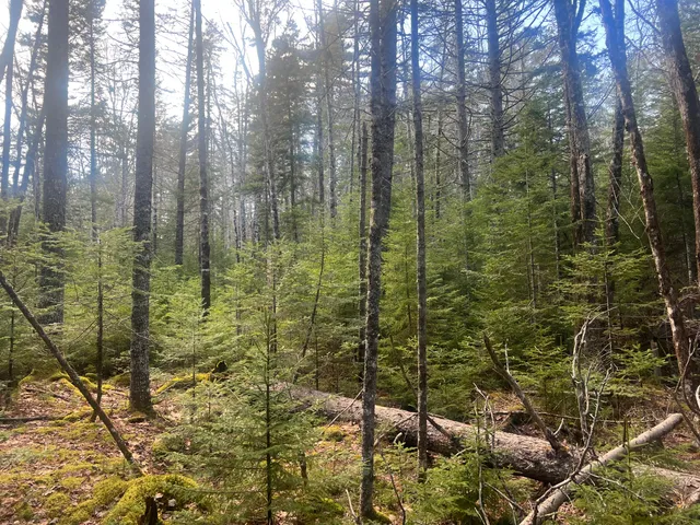 $179,900 | Map10-193 Main Street, Unit 4, Mount Desert, ME 04660