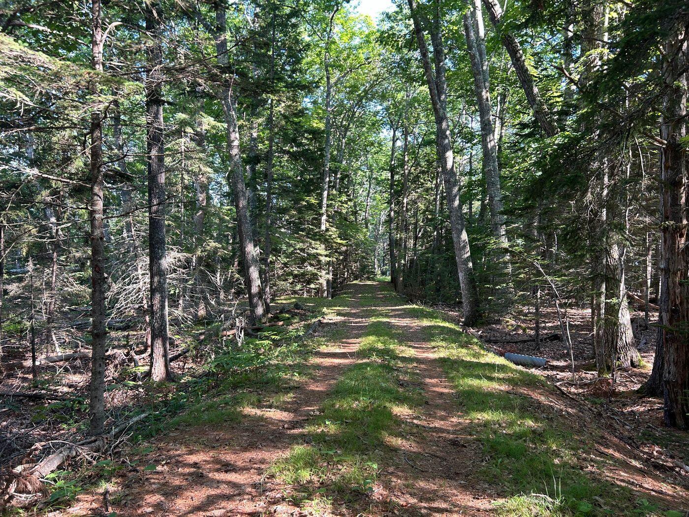 992 Surry Road Surry, ME 04684 - Photo 4 of 10