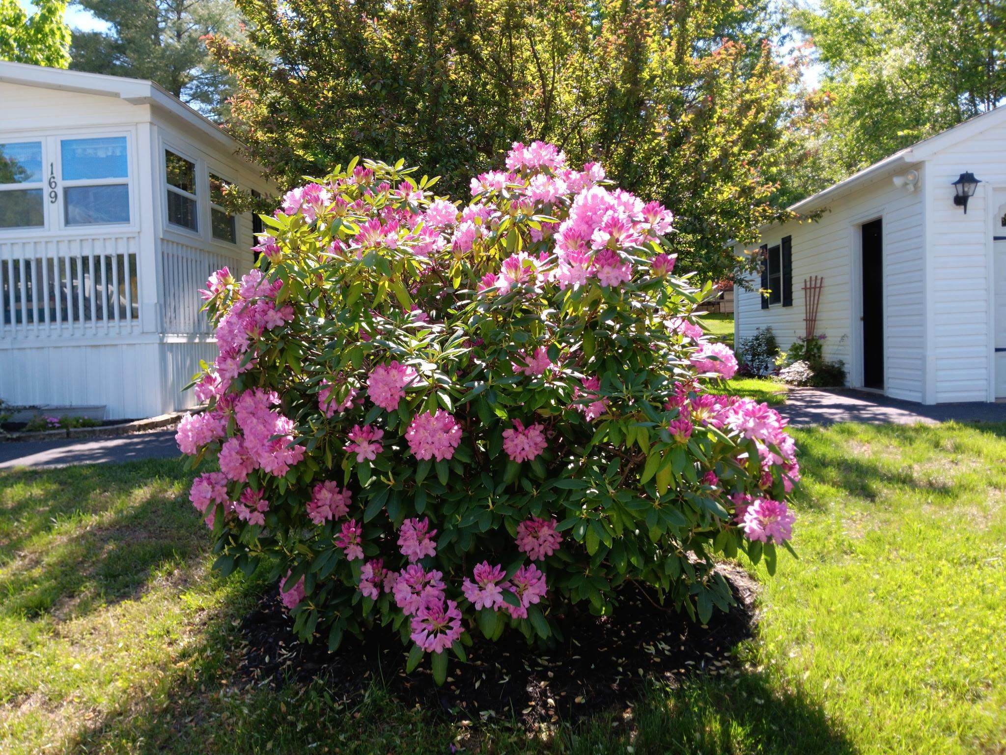 169 Eagle Drive Rochester, NH 03868 - Photo 42 of 45