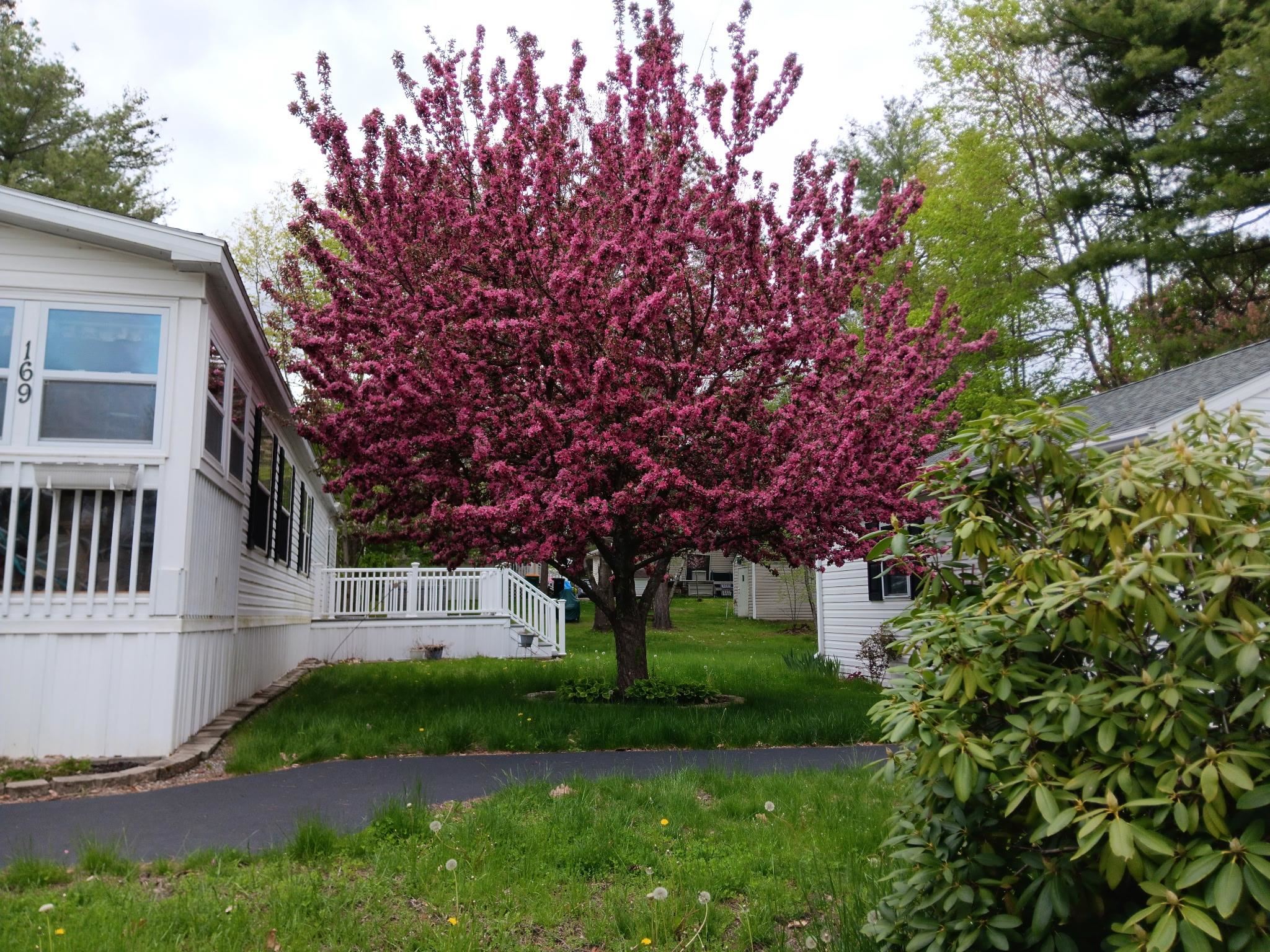 169 Eagle Drive Rochester, NH 03868 - Photo 43 of 45