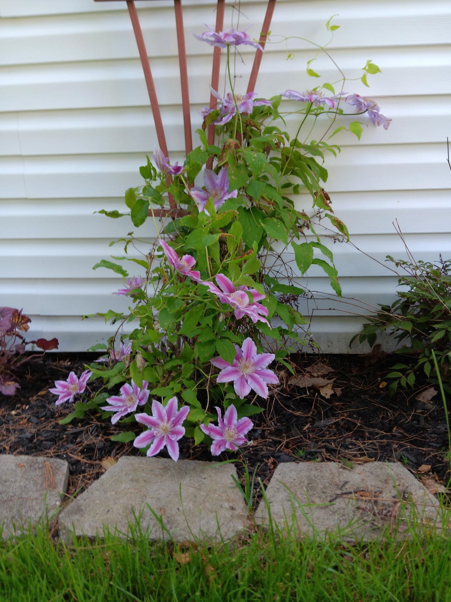 169 Eagle Drive Rochester, NH 03868 - Photo 45 of 45