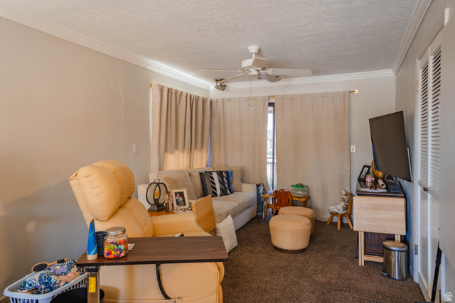 980 Cactus Circle St. George, UT 84790 - Photo 44 of 77 Living room with a textured ceiling, a ceiling fan, crown molding, and dark colored carpet