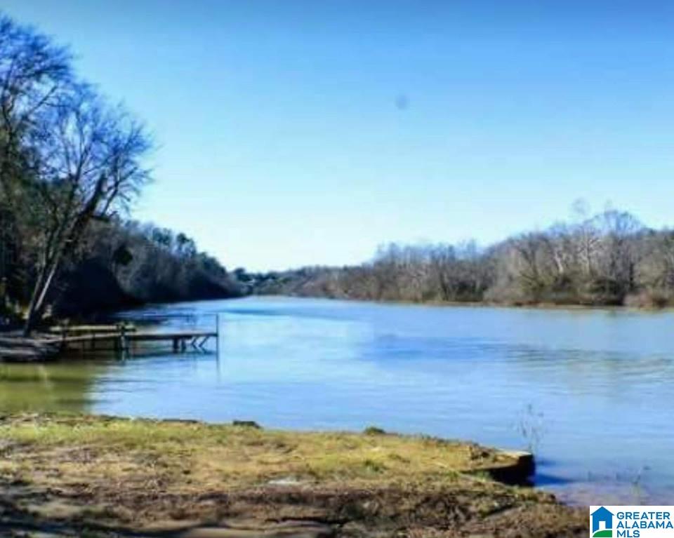 2750 Underwood Ferry Road Quinton, AL 35130 - Photo 15 of 17
