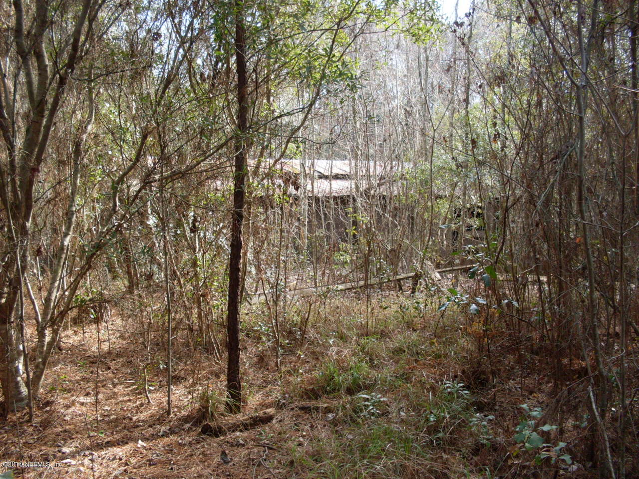 4430 Lori Loop Road Keystone Heights, FL 32656 - Photo 5 of 6 Barn