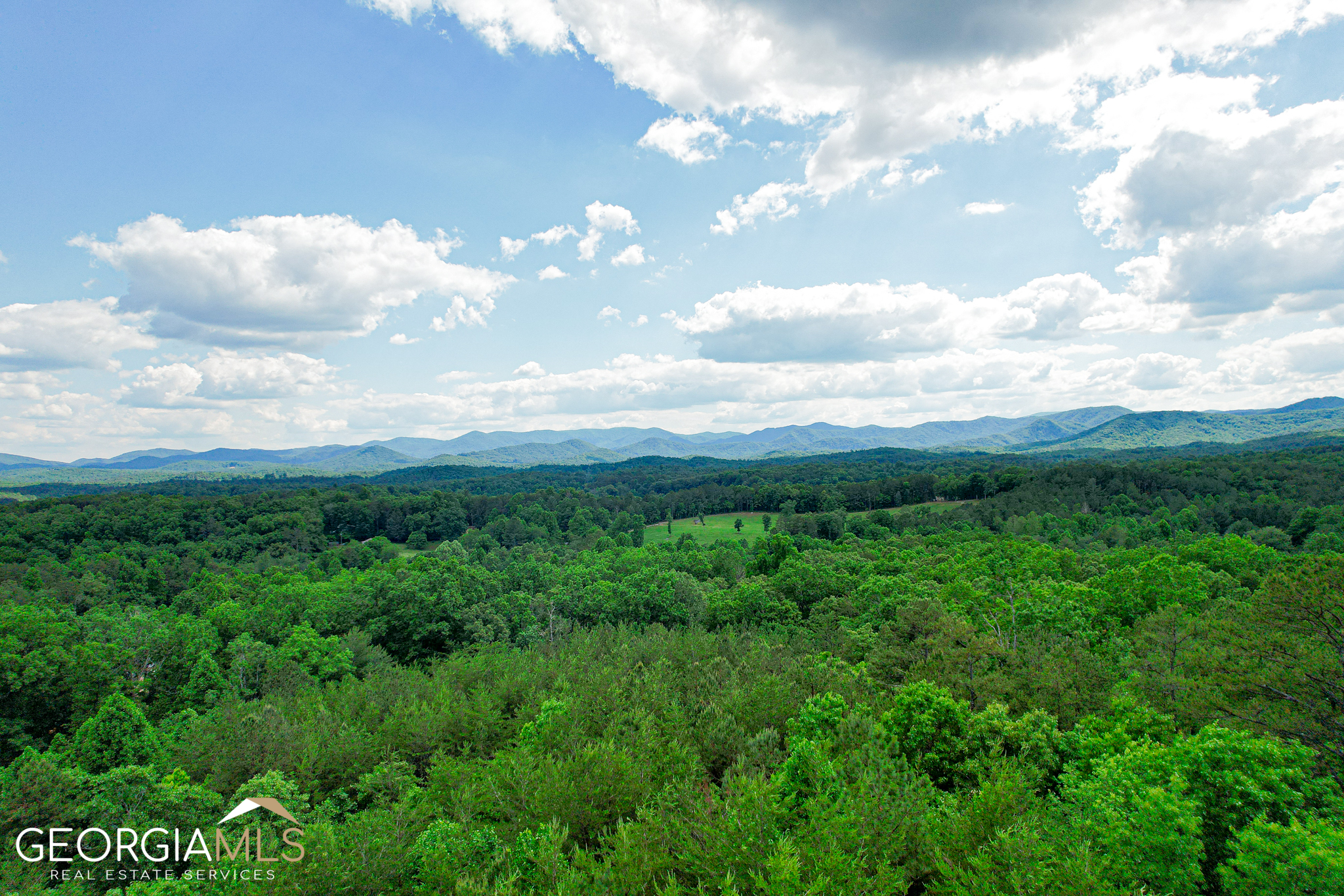 0 Higdon Creek Road Blue Ridge, GA 30513 - Photo 1 of 1