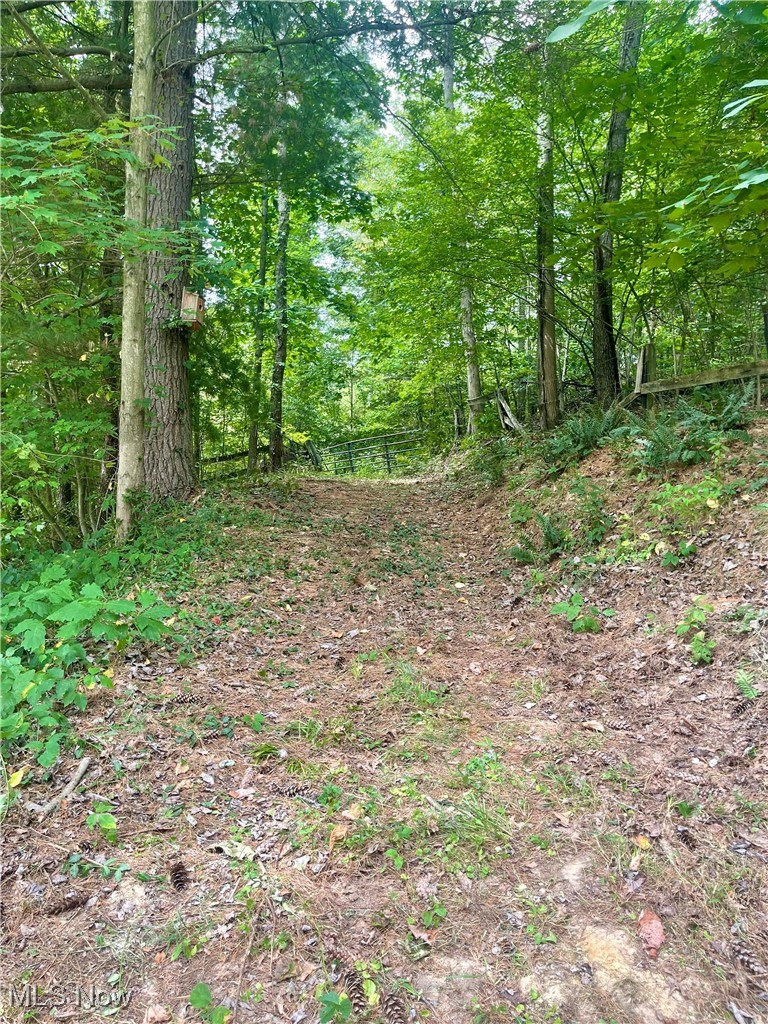 6518 Stonecreek Road Southwest Newcomerstown, OH 43832 - Photo 35 of 42 Trail into the woods
