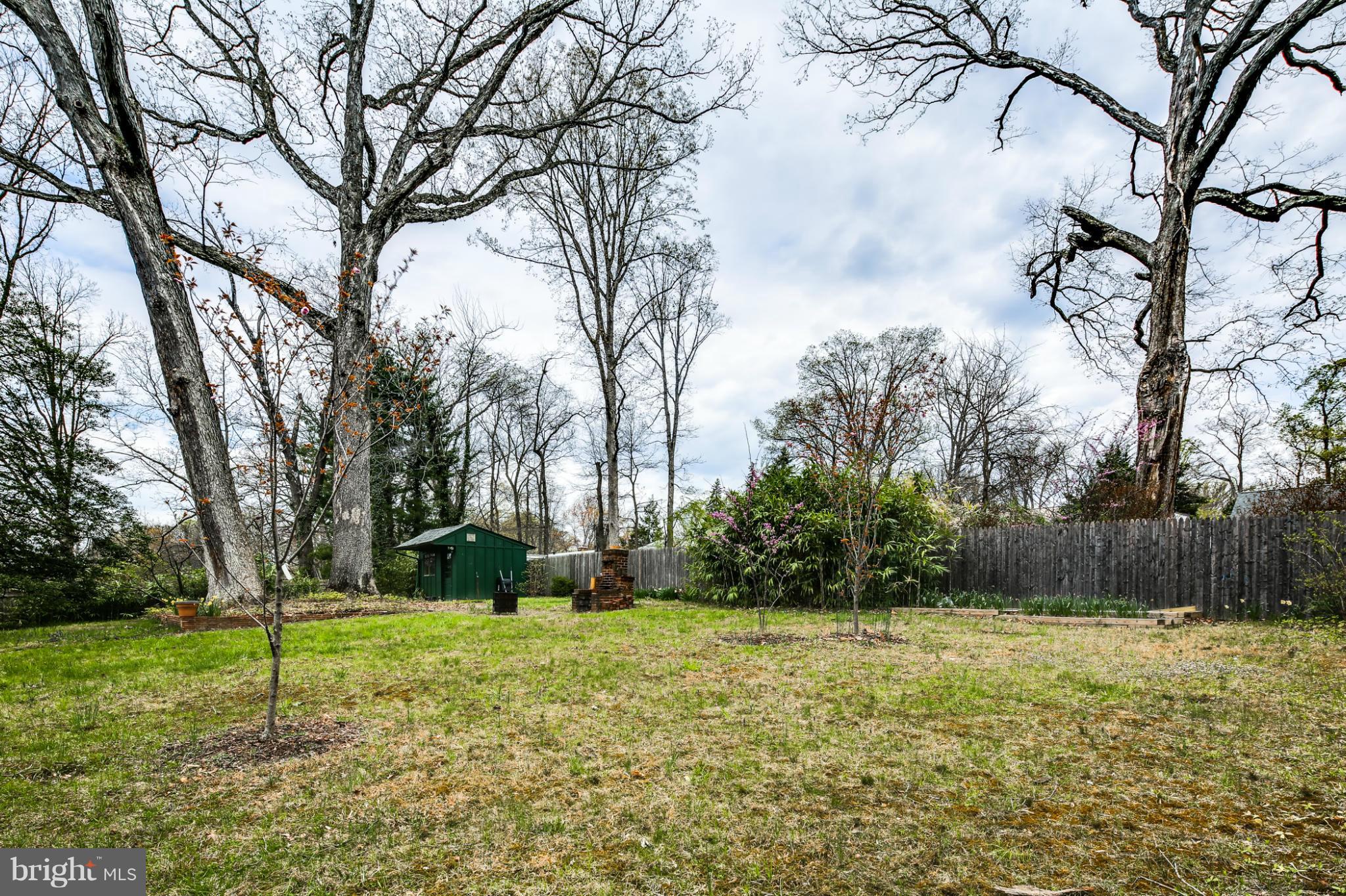 2013 Franwall Avenue Silver Spring, MD 20902 - Photo 25 of 28 Exterior (Rear) Patio w/trees