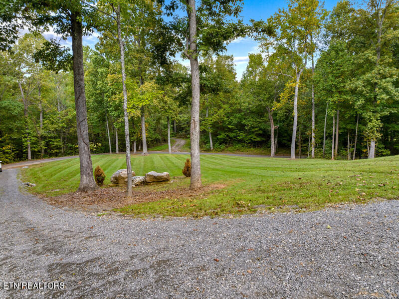 1260 Cameron Road Jefferson City, TN 37760 - Photo 36 of 42 IMG_9083