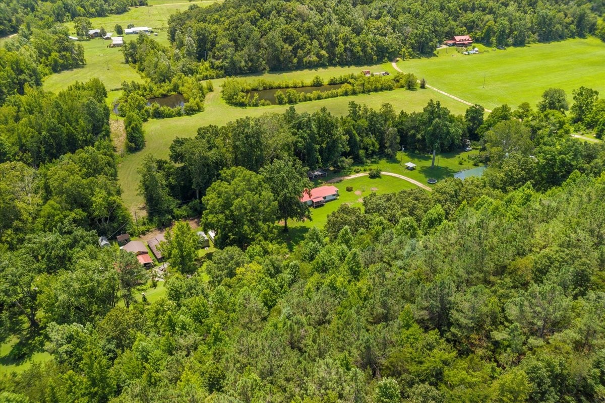 1227 Brushy Road Centerville, TN 37033 - Photo 50 of 60