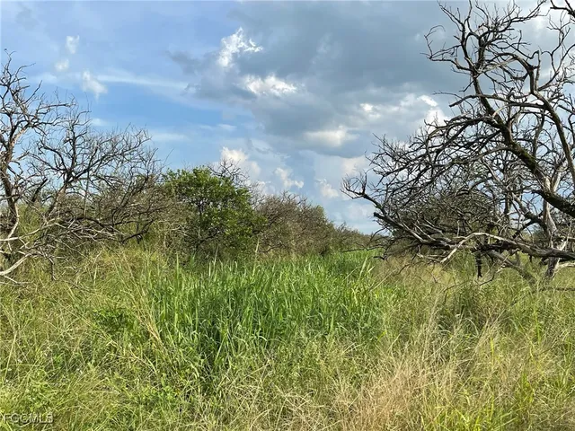 $423,000 | 6876 5th Road, LaBelle, FL 33935