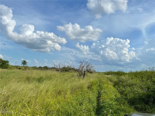 a view of yard and mountain in back