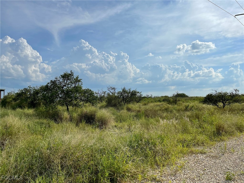 6876 5th Road LaBelle, FL 33935 - Photo 5 of 10