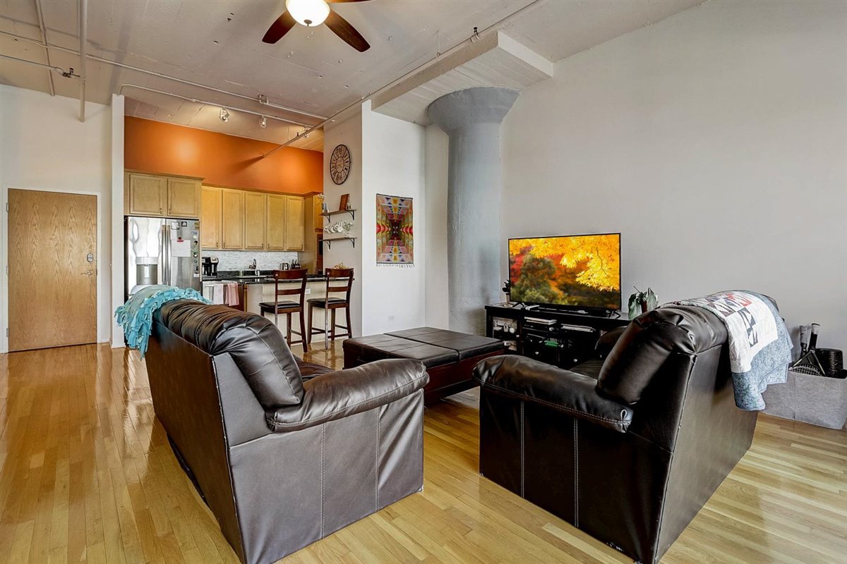 1530 South State Street, Unit 515 Chicago, IL 60605 - Photo 12 of 19