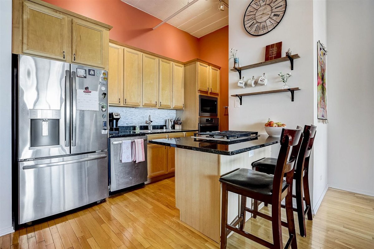 1530 South State Street, Unit 515 Chicago, IL 60605 - Photo 4 of 19