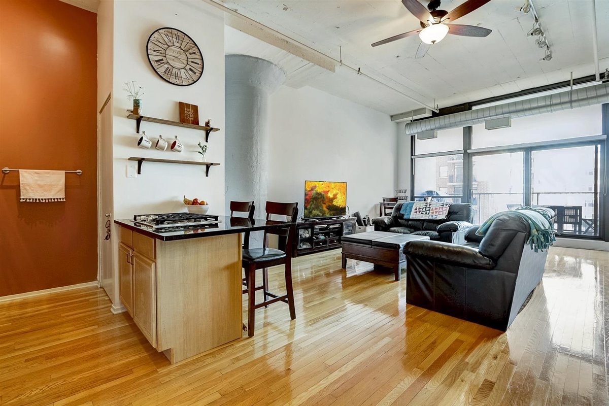 1530 South State Street, Unit 515 Chicago, IL 60605 - Photo 6 of 19
