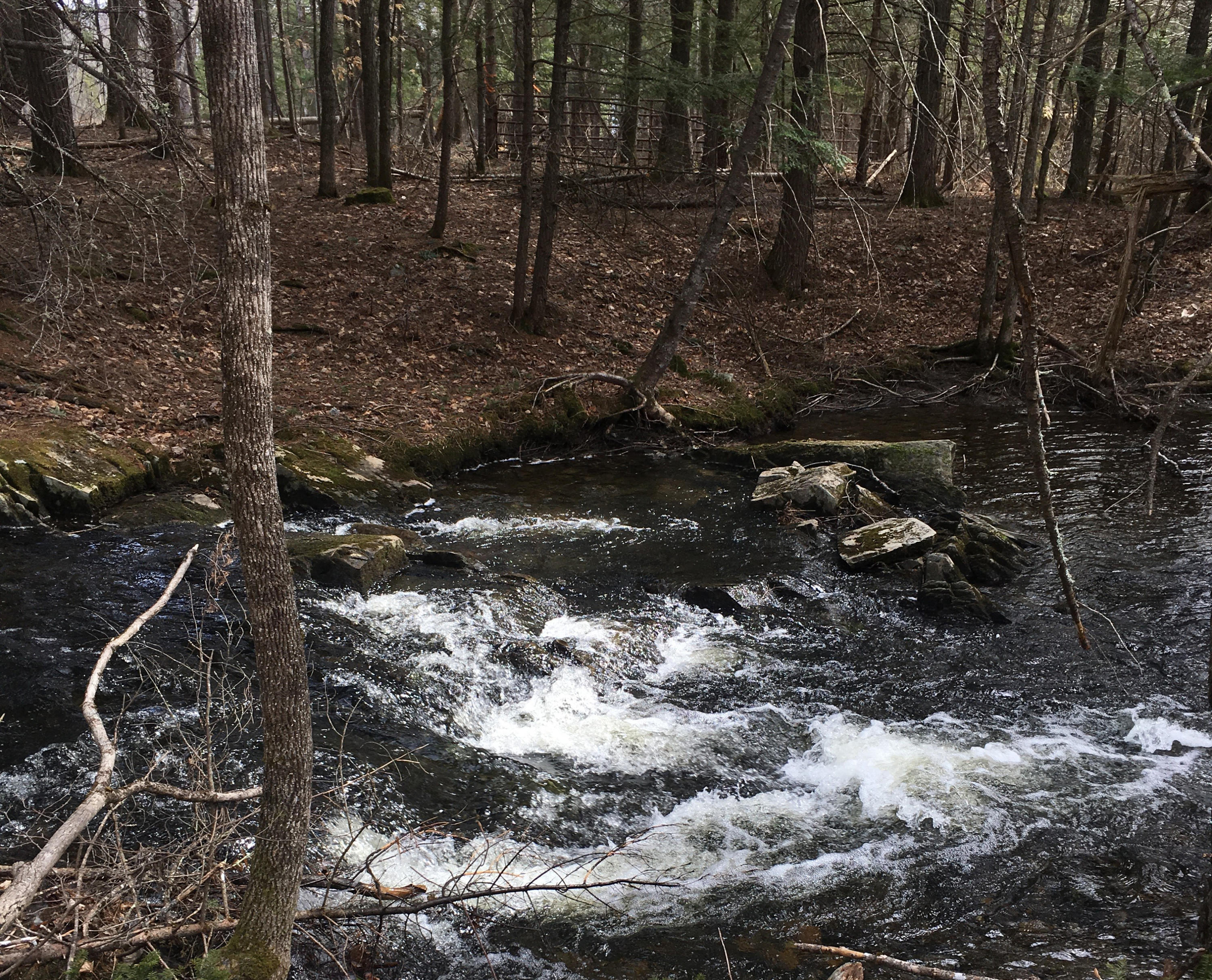 Lot 17 Molunkus Road Madison, ME 04950 - Photo 2 of 3 Brook Frontage