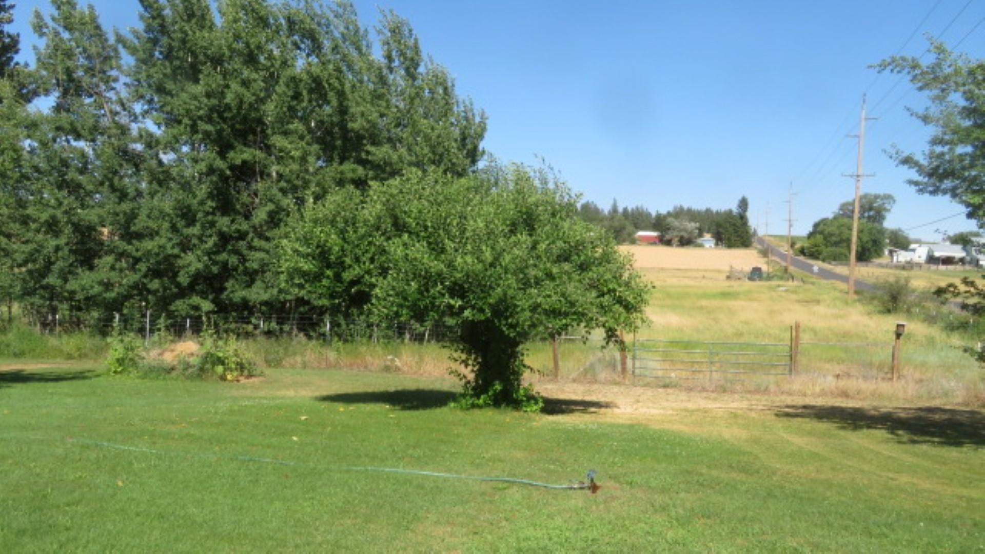 22310 North Austin Road Colbert, WA 99005 - Photo 31 of 35