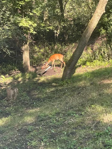 $345,000 | 33672 County Road 15, Morton, MN 56270