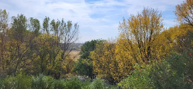 $345,000 | 33672 County Road 15, Morton, MN 56270