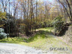 0 Bent Tree Road Maggie Valley, NC 28751 - Photo 3 of 12