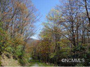 0 Bent Tree Road Maggie Valley, NC 28751 - Photo 6 of 12