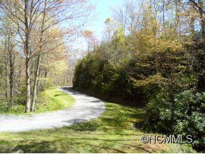 0 Bent Tree Road Maggie Valley, NC 28751 - Photo 8 of 12