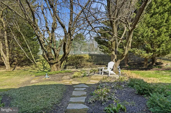 a view of yard with tree