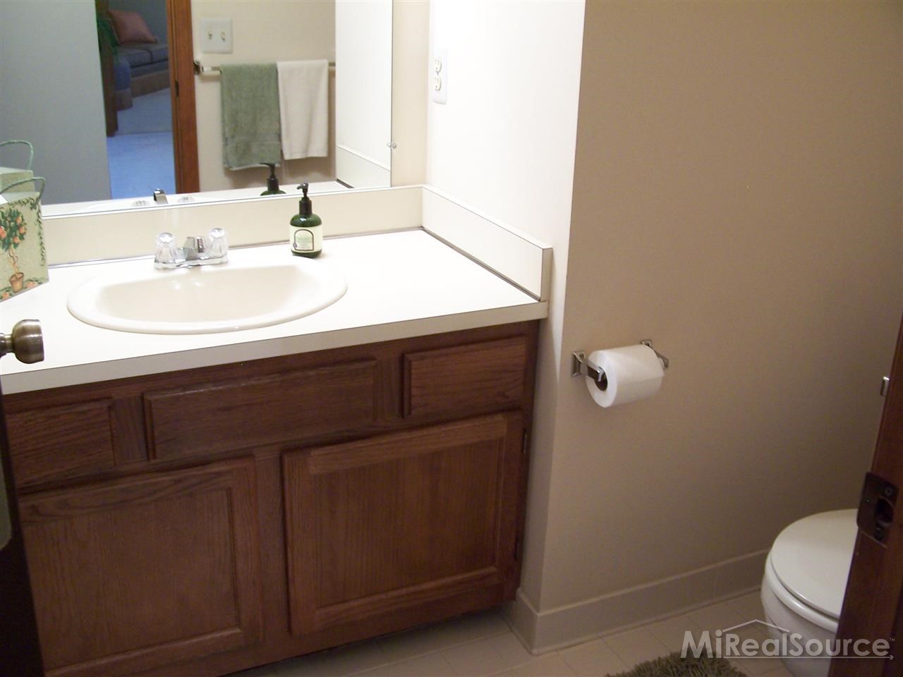 220 Bourbon Court Rochester, MI 48307 - Photo 16 of 28 31193081-15.JPG