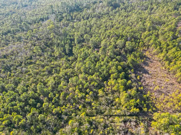 $105,500 | Tbd Sugar Bowl Lane, Longs, SC 29568