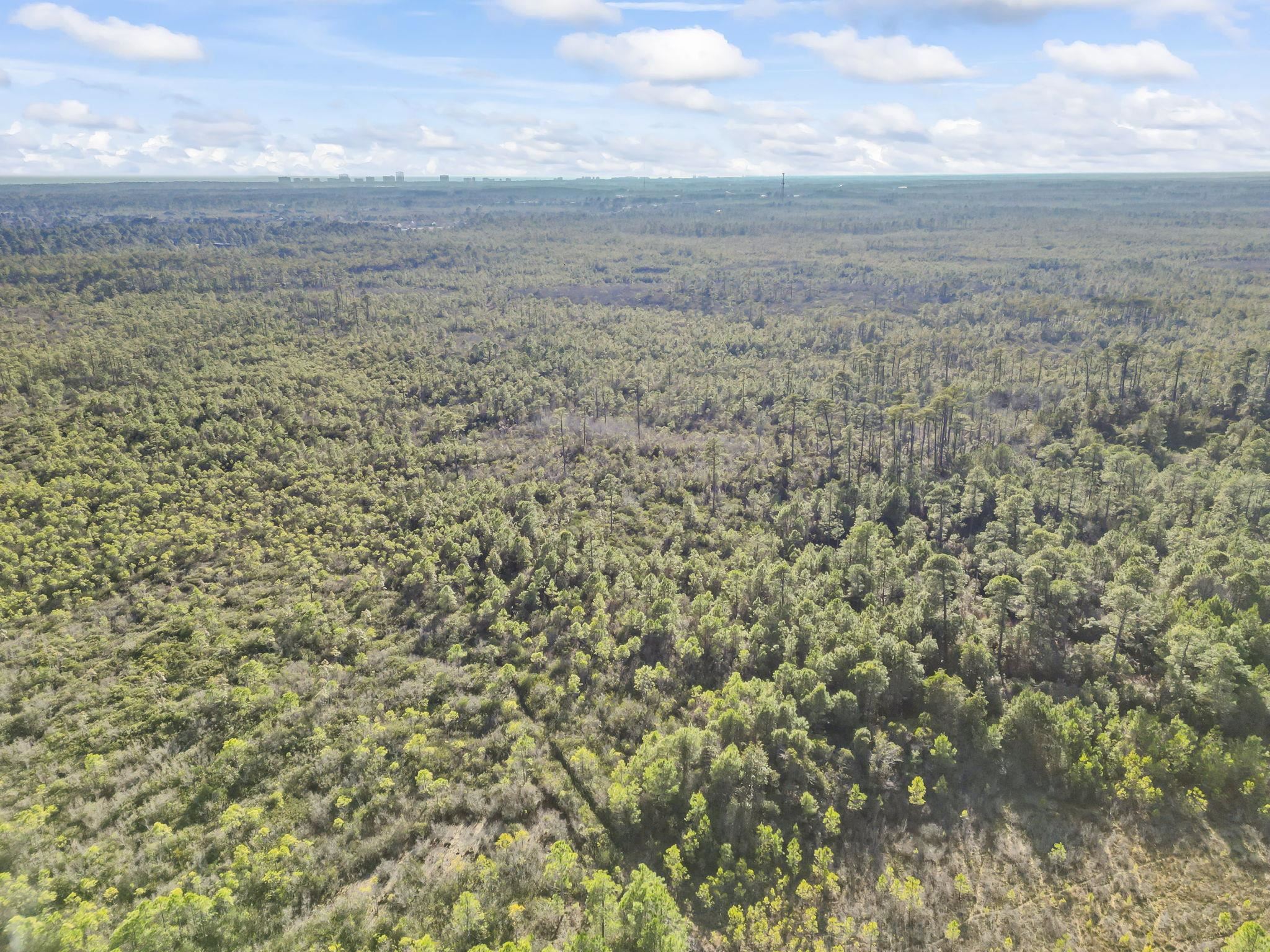 Tbd Sugar Bowl Lane Longs, SC 29568 - Photo 3 of 7