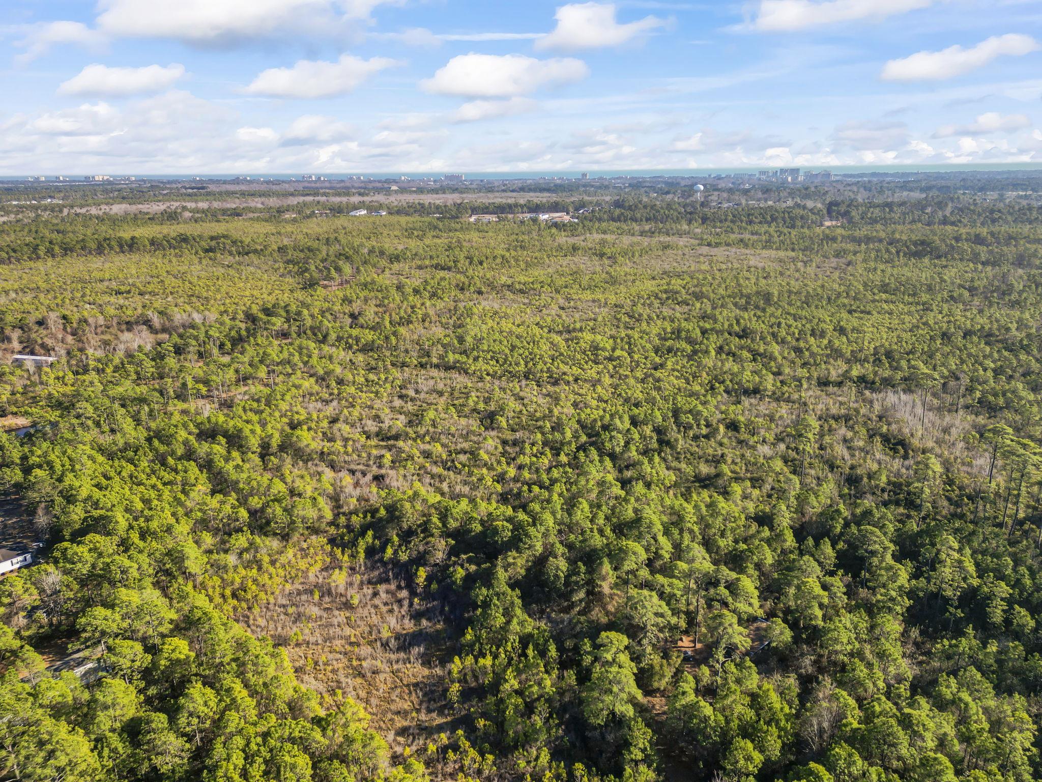 Tbd Sugar Bowl Lane Longs, SC 29568 - Photo 4 of 7