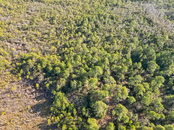 $105,500 | Tbd Sugar Bowl Lane, Longs, SC 29568